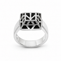 Thorin's Ring